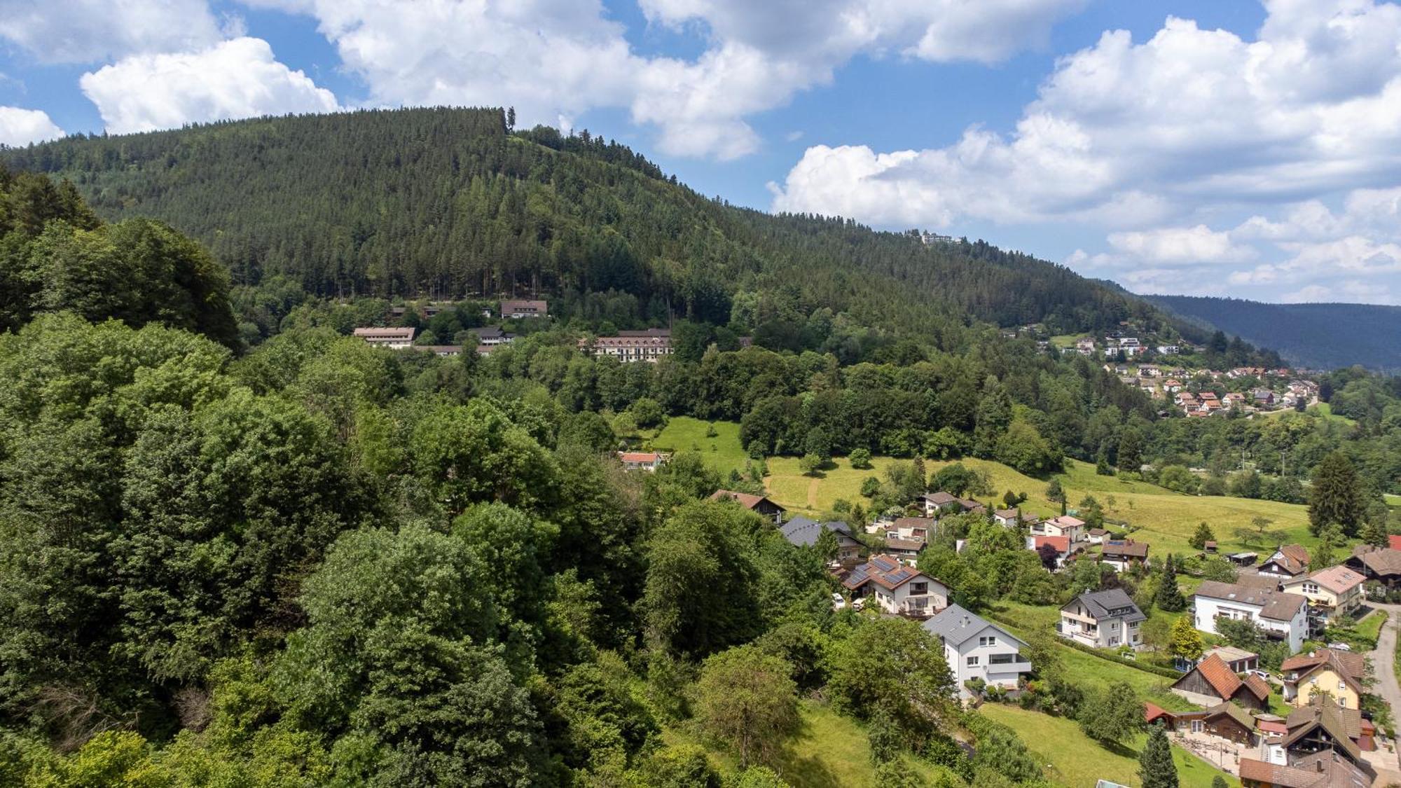 Black Forest Design Apartment Bad Wildbad Εξωτερικό φωτογραφία