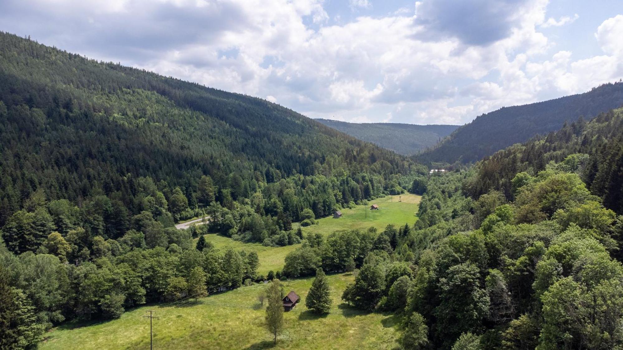 Black Forest Design Apartment Bad Wildbad Εξωτερικό φωτογραφία